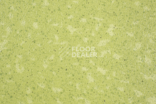 Линолеум Tarkett Acczent Pro Aspect 9 фото 1 | FLOORDEALER