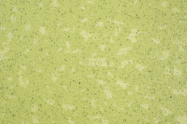 Линолеум Tarkett Acczent Pro Aspect 9 фото 1 | FLOORDEALER