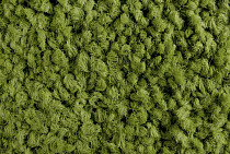 ColorKey ColorKey 01 фото 2 | FLOORDEALER