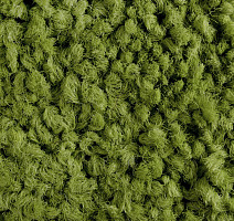 ColorKey ColorKey 01 фото 2 | FLOORDEALER