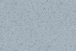 Линолеум Polyflor Polysafe Ecomax 4629 Iris фото  | FLOORDEALER