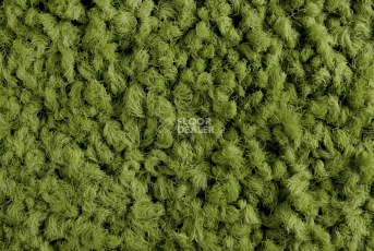 ColorKey ColorKey 01 фото 2 | FLOORDEALER