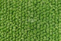 Season - Summer / Winter 240 фото 2 | FLOORDEALER