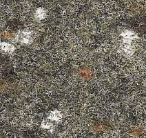 Ковролин Finett Accent 1450 фото 1 | FLOORDEALER