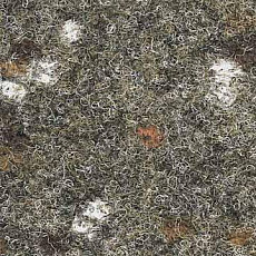 Ковролин Finett Accent 1450 фото 1 | FLOORDEALER