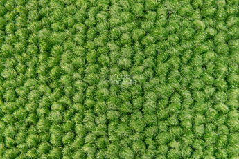 Season - Summer / Winter 240 фото 2 | FLOORDEALER