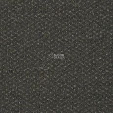 Lano Carve Classic 821 Slate 1 фото 1 | FLOORDEALER