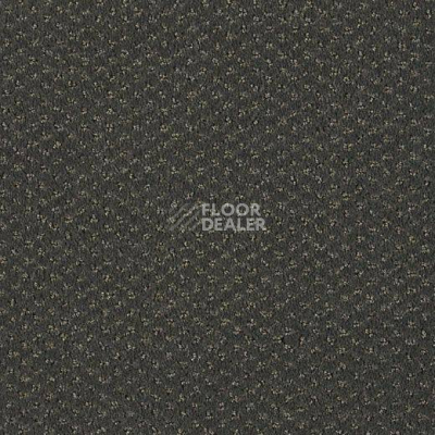 Ковролин Lano Carve Classic 821 Slate 1 фото 1 | FLOORDEALER