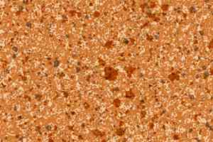 Линолеум Grabo Astral Color 4115_474 фото  | FLOORDEALER