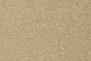 Ковролин Vorwerk Passion 1006 Vorwerk 8j11 фото  | FLOORDEALER