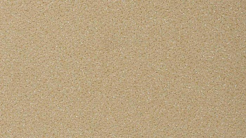 Ковролин Vorwerk Passion 1006 Vorwerk 8j11 фото 1 | FLOORDEALER