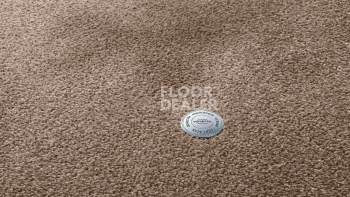 Ковролин Vorwerk Superior 1064/Lyrica Vorwerk 7g73 фото 1 | FLOORDEALER