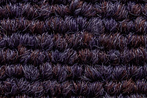 Art Intervention Коллекция Creative Spark Creative Spark 478 фото 6 | FLOORDEALER