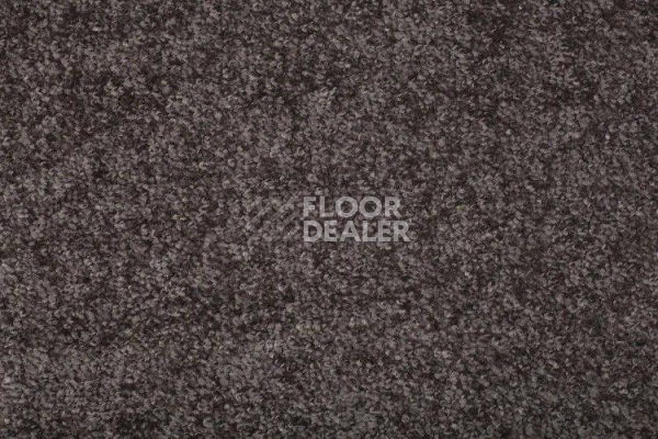 Ковролин AW Santa Fe Santa Fe 42 фото 1 | FLOORDEALER