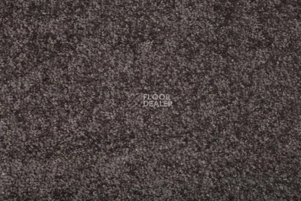Ковролин AW Santa Fe Santa Fe 42 фото 1 | FLOORDEALER