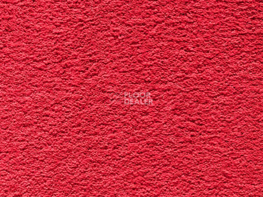 Ковролин Balta DE LA VEGA De La Vega 0180 фото 1 | FLOORDEALER