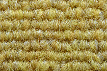 Art Intervention Коллекция Creative Spark Creative Spark 140 фото 5 | FLOORDEALER