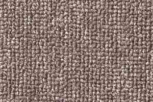 Ковролин Зартекс Daily 062 фото  | FLOORDEALER