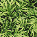 Ковролин Halbmond Pure Elements 13837  | FLOORDEALER