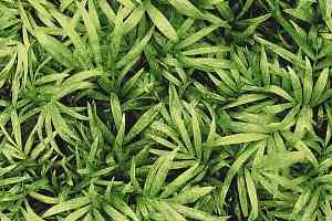 Ковролин Halbmond Pure Elements 13837 фото  | FLOORDEALER