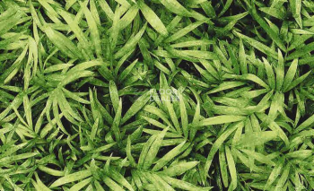 Ковролин Halbmond Pure Elements 13837 фото 1 | FLOORDEALER