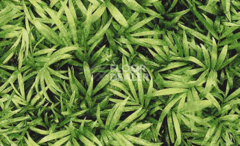 Ковролин Halbmond Pure Elements 13837 фото 1 | FLOORDEALER