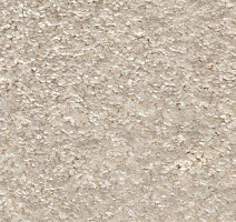 Ковролин AW Poseidon 30 фото 1 | FLOORDEALER