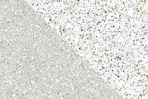 Керамогранит Cosmos Керамогранит 60x60x10 cm 01 60x60x10 Непол.Рект. (Керамический гранит) фото  | FLOORDEALER