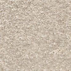 Ковролин AW Poseidon 30 фото 1 | FLOORDEALER