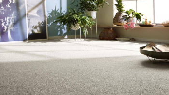 Vorwerk Essential 1008 Vorwerk 6c62 фото 4 | FLOORDEALER