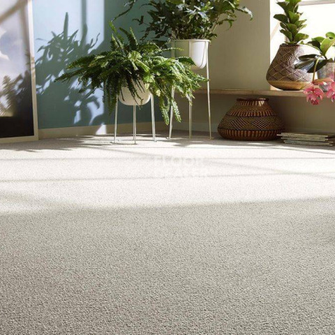 Vorwerk Essential 1008 Vorwerk 6c62 фото 4 | FLOORDEALER