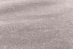 Ковролин Innova Галактика Серо-фиолетовый фото  | FLOORDEALER