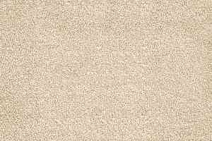 Ковролин AW Ganges 30 фото  | FLOORDEALER