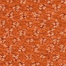 Balsan Aquarelle Aquarelle 450 фото 1 | FLOORDEALER