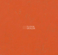 Линолеум Forbo Marmoleum Неожиданная природа 3561 фото 1 | FLOORDEALER