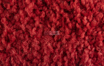 ColorKey ColorKey 03 фото 2 | FLOORDEALER