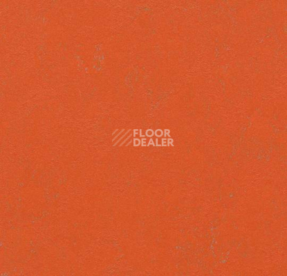 Линолеум Forbo Marmoleum Неожиданная природа 3561 фото 1 | FLOORDEALER