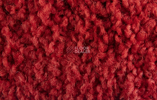 ColorKey ColorKey 03 фото 2 | FLOORDEALER