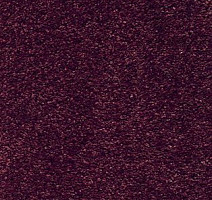 Ковролин AW Marquise 19 фото 1 | FLOORDEALER