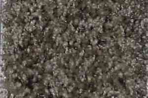 Ковролин Bell Rock Beaulieu of America 1444 фото  | FLOORDEALER