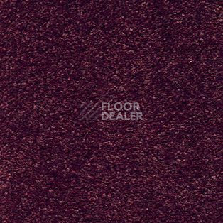 Ковролин AW Marquise 19 фото 1 | FLOORDEALER