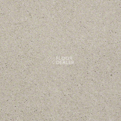 Ковролин Shaw Design Texture Platinum 106 фото 1 | FLOORDEALER