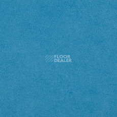 Линолеум Taralay Initial Compact (Plain & allover look) 0967 Miami Mer фото 1 | FLOORDEALER
