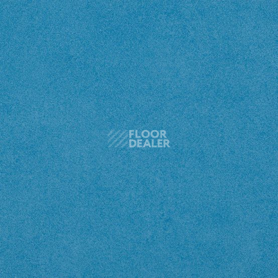 Линолеум Taralay Initial Compact (Plain & allover look) 0967 Miami Mer фото 1 | FLOORDEALER