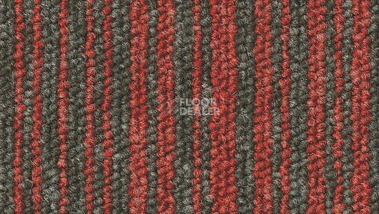 Ковровая плитка Desso Essence Stripes 4411 фото 1 | FLOORDEALER