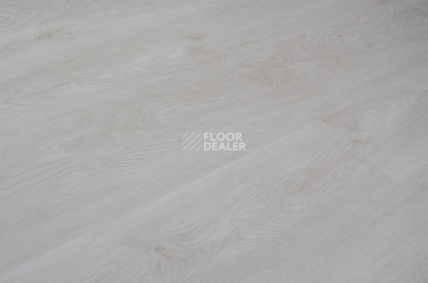 Evofloor Optima Click 4.2мм Дуб Дымчатый фото 4 | FLOORDEALER