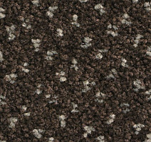 Ковролин Balsan Capitol Capitol 790 фото 1 | FLOORDEALER