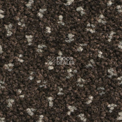 Ковролин Balsan Capitol Capitol 790 фото 1 | FLOORDEALER