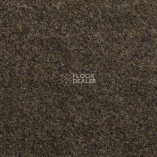 Ковролин Bonkeel Script NP 80 LV фото 1 | FLOORDEALER