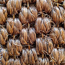 Циновки Циновка Vera Cruz 8977  | FLOORDEALER